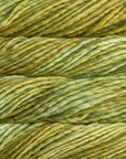 Malabrigo Rasta