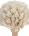 Natural Horse Hair Dish Brush