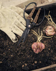 Barebones - Garden Scissors - Large