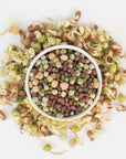 Vegan Protein Sprouting Seed Blend