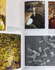 Art of Fermentation: An In-Depth Exploration