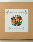 Needle Felting Starter Kit