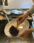 Natural Dish Brush, Bassine, 8.5"