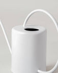 2L Stainless Steel Watering Can