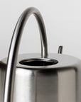 2L Stainless Steel Watering Can