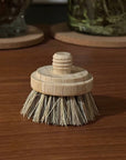 Replacement Head for Bamboo Dish Scrubbing Brush