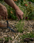 Dandelion Weeding Fork