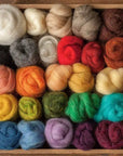Needle Felting Starter Kit