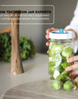 Pickle Pipe Fermentation Airlocks for Mason Jars