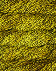 Malabrigo Caracol