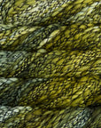 Malabrigo Caracol