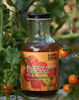 Bloody Mary Fire Cider | Land + Local