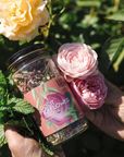 Root to Flower Herbal Tea | Land + Local