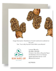 Loose Morels Greeting Card