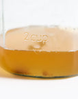 Kombucha Starter Kit