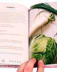 Basic Fermentation: A DIY Guide to Cultural Manipulation