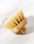 Replacement Head for Bamboo Dish Scrubbing Brush