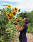 Womanswork - High Performance Garden and Work Glove
