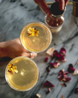 Elderflower Mint Mixer | Land + Local