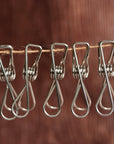 Stainless Steel Clothes Peg Clips (Pack of 20 in Cotton Bag)