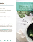 Basic Fermentation: A DIY Guide to Cultural Manipulation