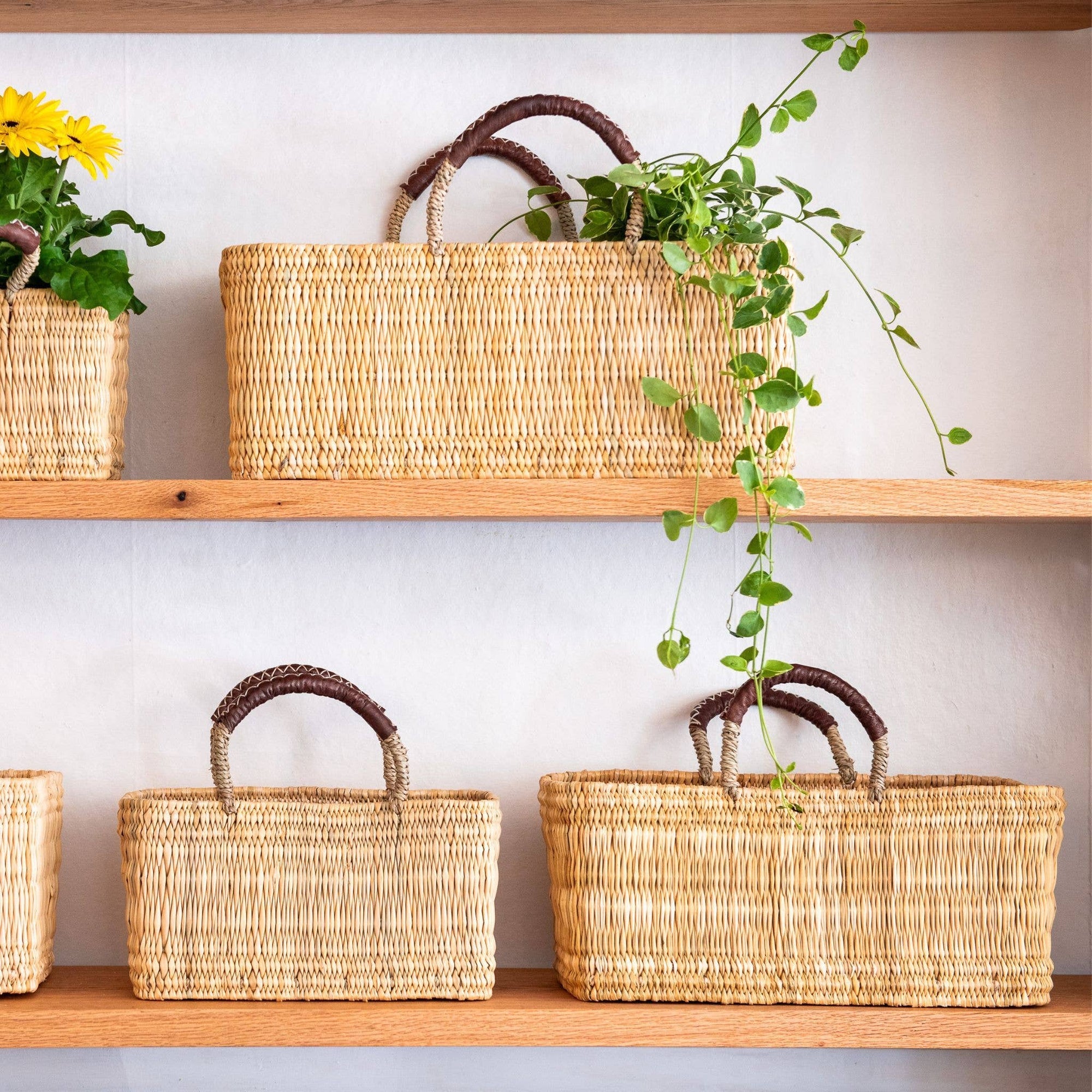Garden Storage + Accessories