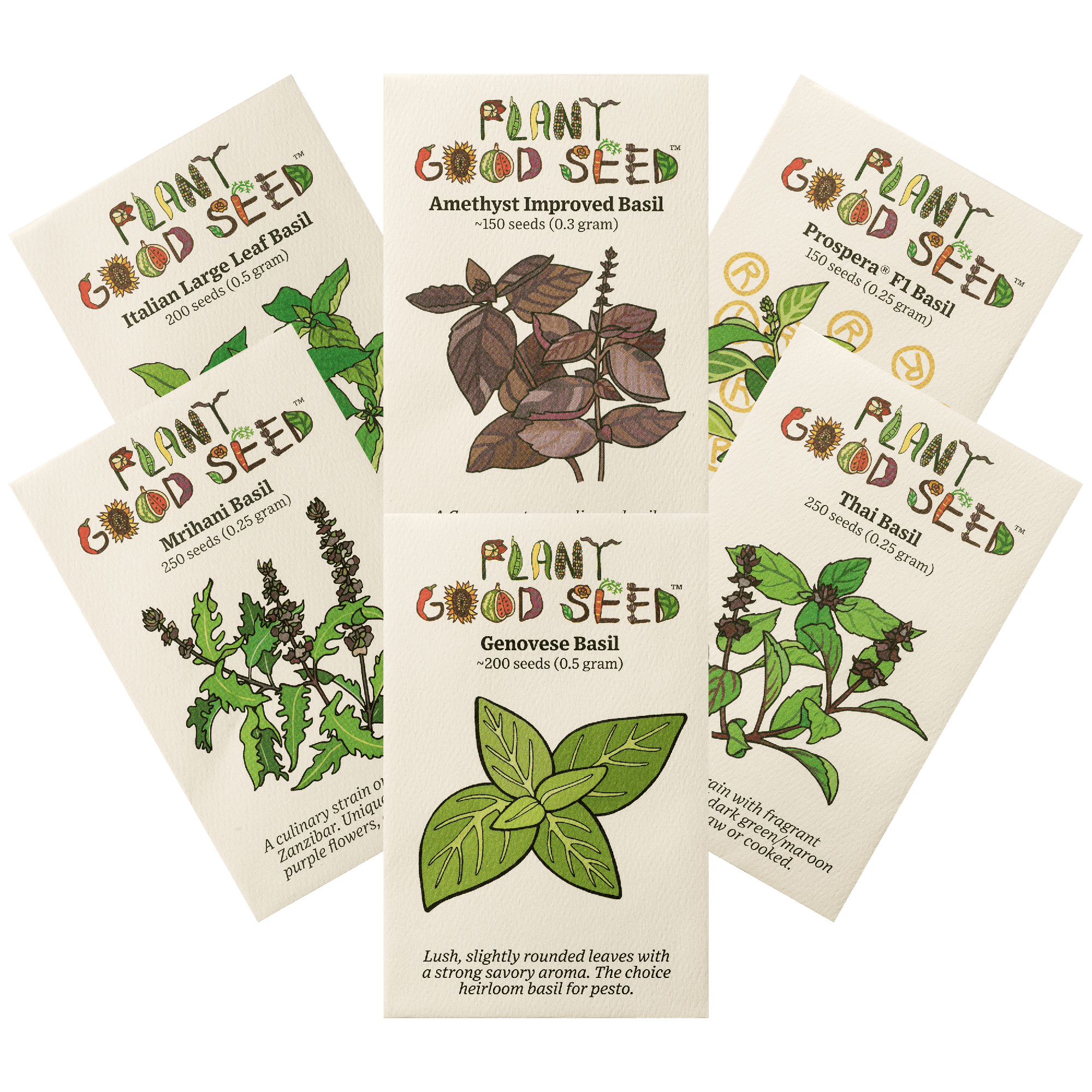Plants + Seeds