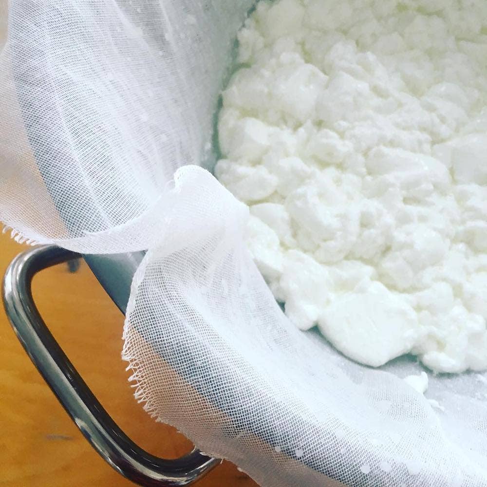 Cheesemaking + Yogurt