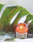 Beeswax Candle: Lemongrass + Cedarwood