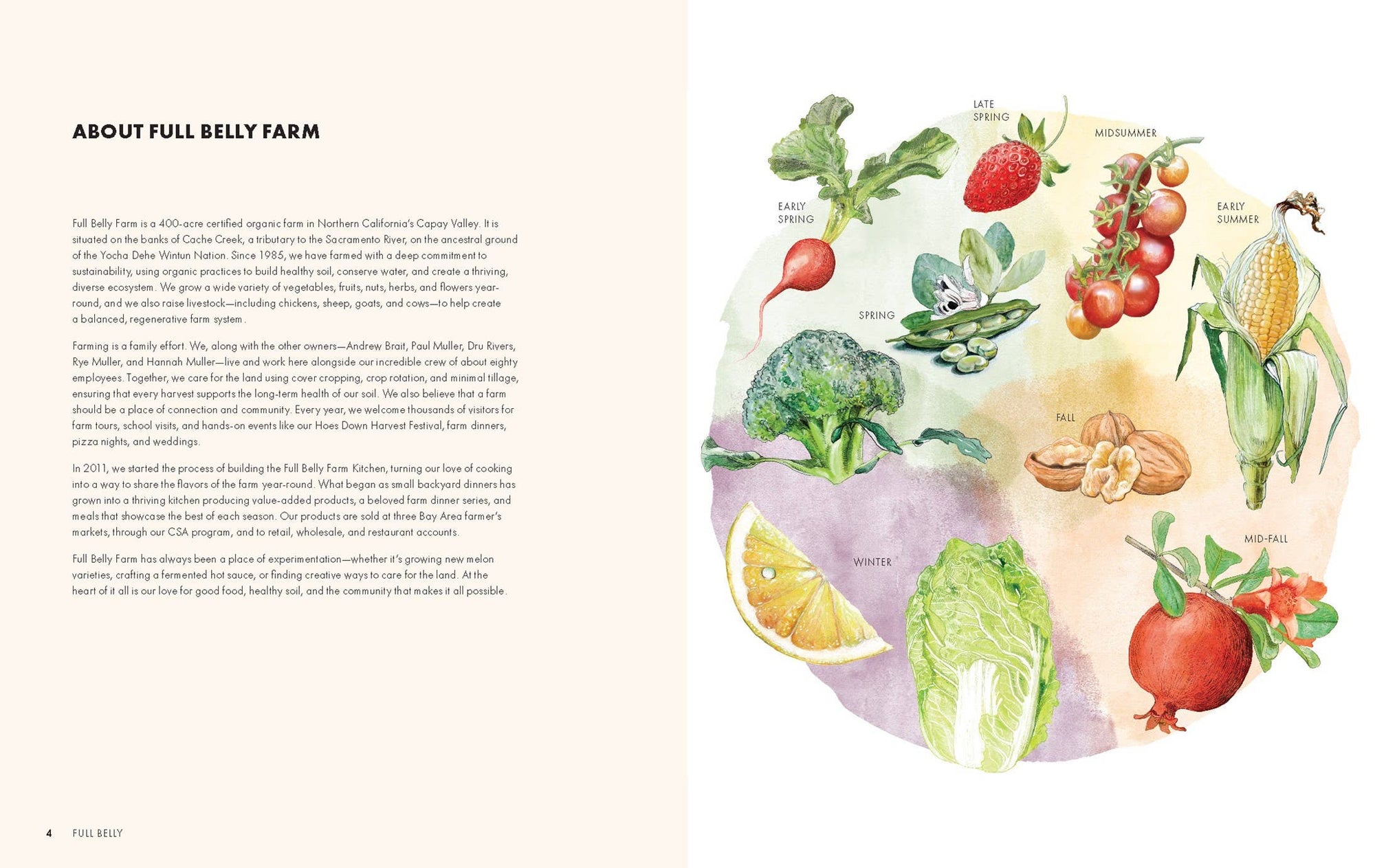 Full Belly Farm &amp; Kitchen Cookbook