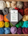 Needle Felting Starter Kit
