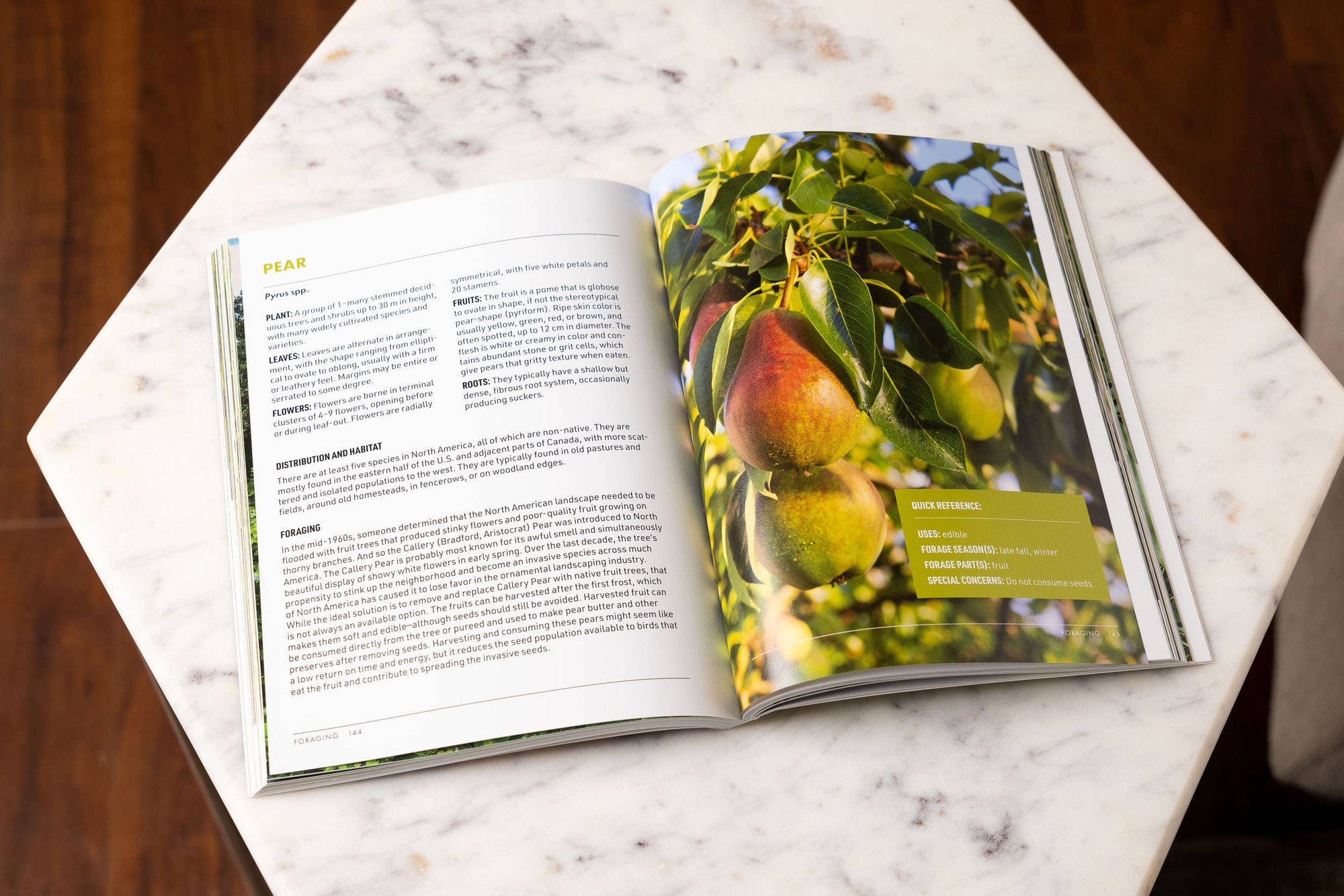 Foraging: An Illustrated Guide to Edible Wild Plants