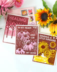 Coneflowers on My Mind Friendship Card