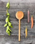 Olive Wood Modern Round Spoon 12"