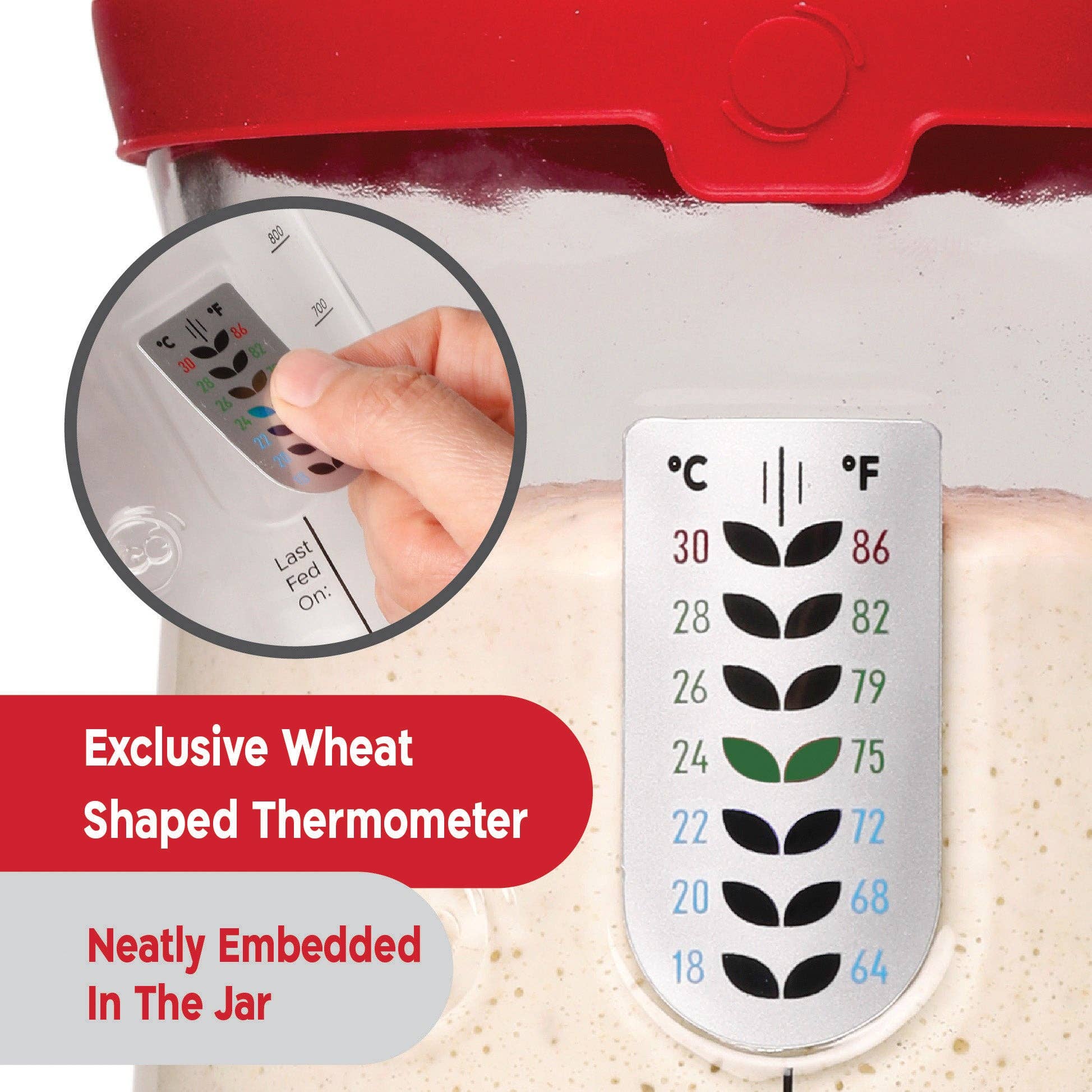 Pro Sourdough Starter Jar 34 Oz