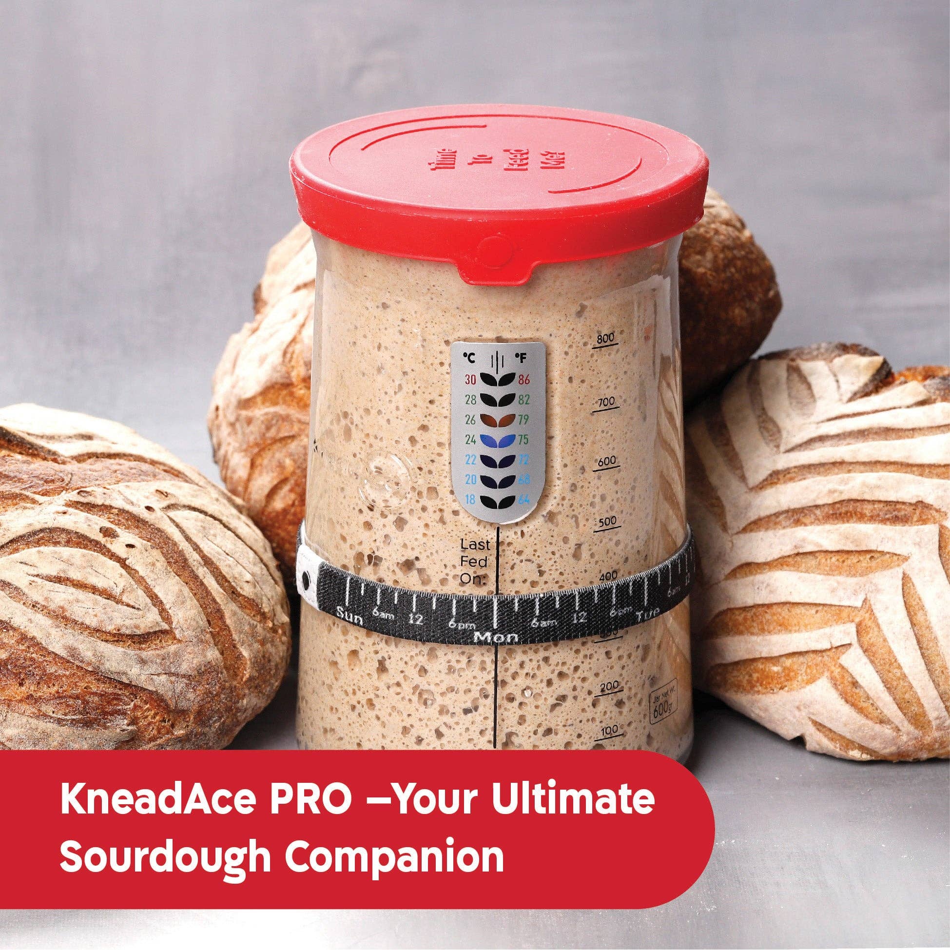 Pro Sourdough Starter Jar 34 Oz