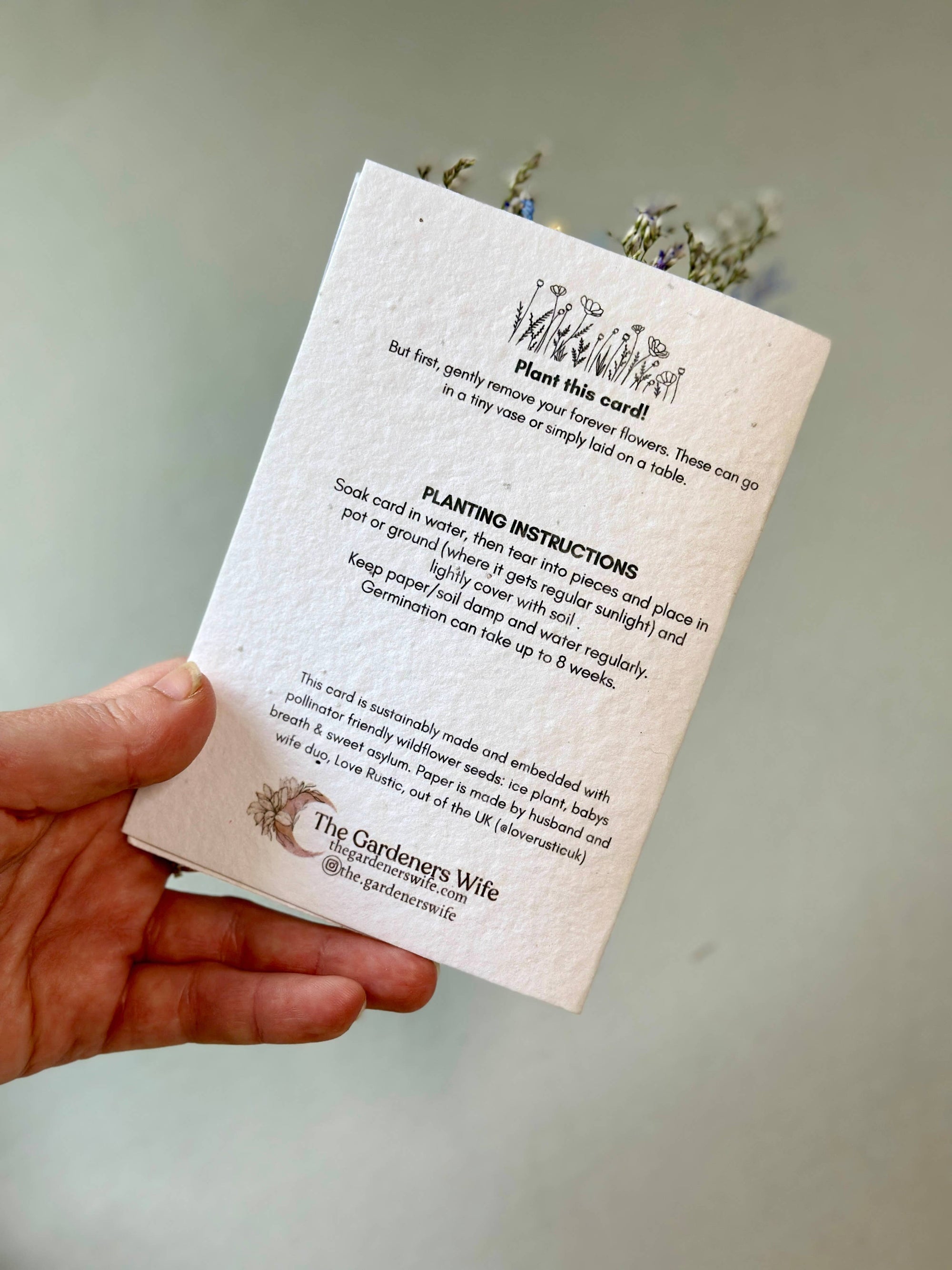 Thankful For You | Wildflower Seed Card + Tiny Bouquet