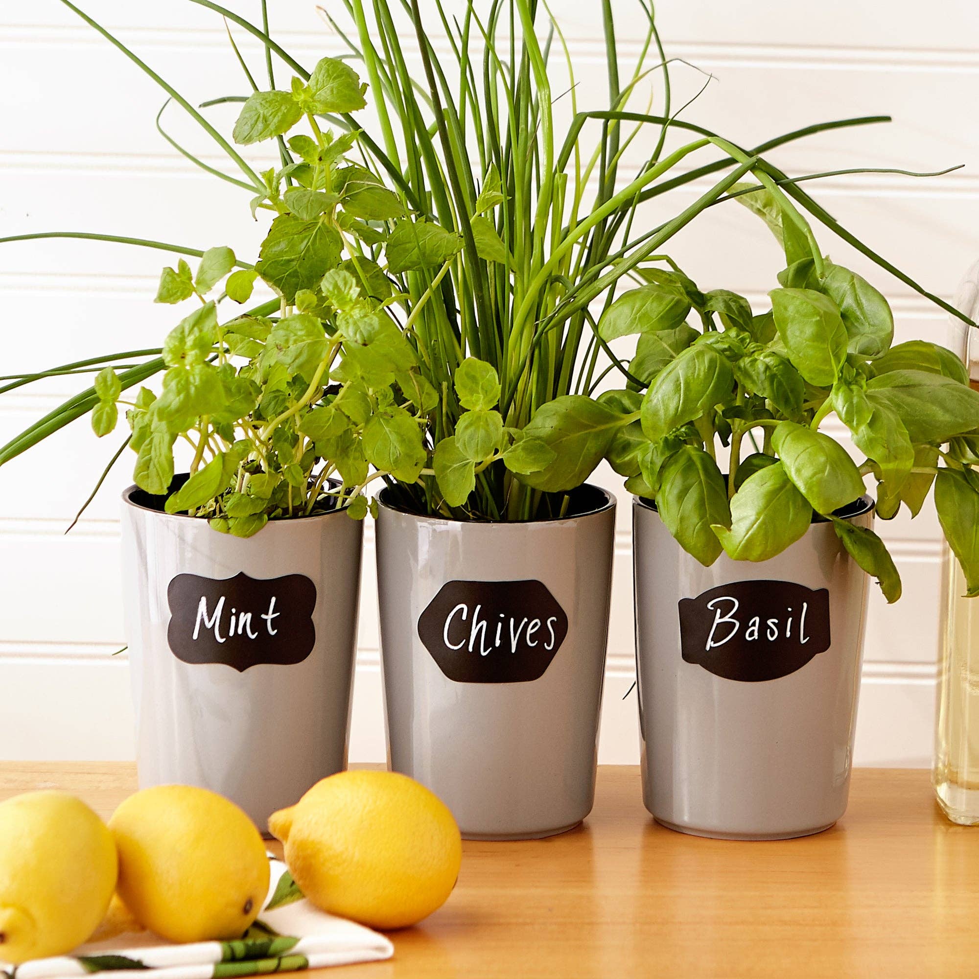 Reusable Spice Labels - Set of 30