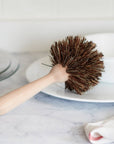 Natural Dish Brush, Bassine, 8.5"