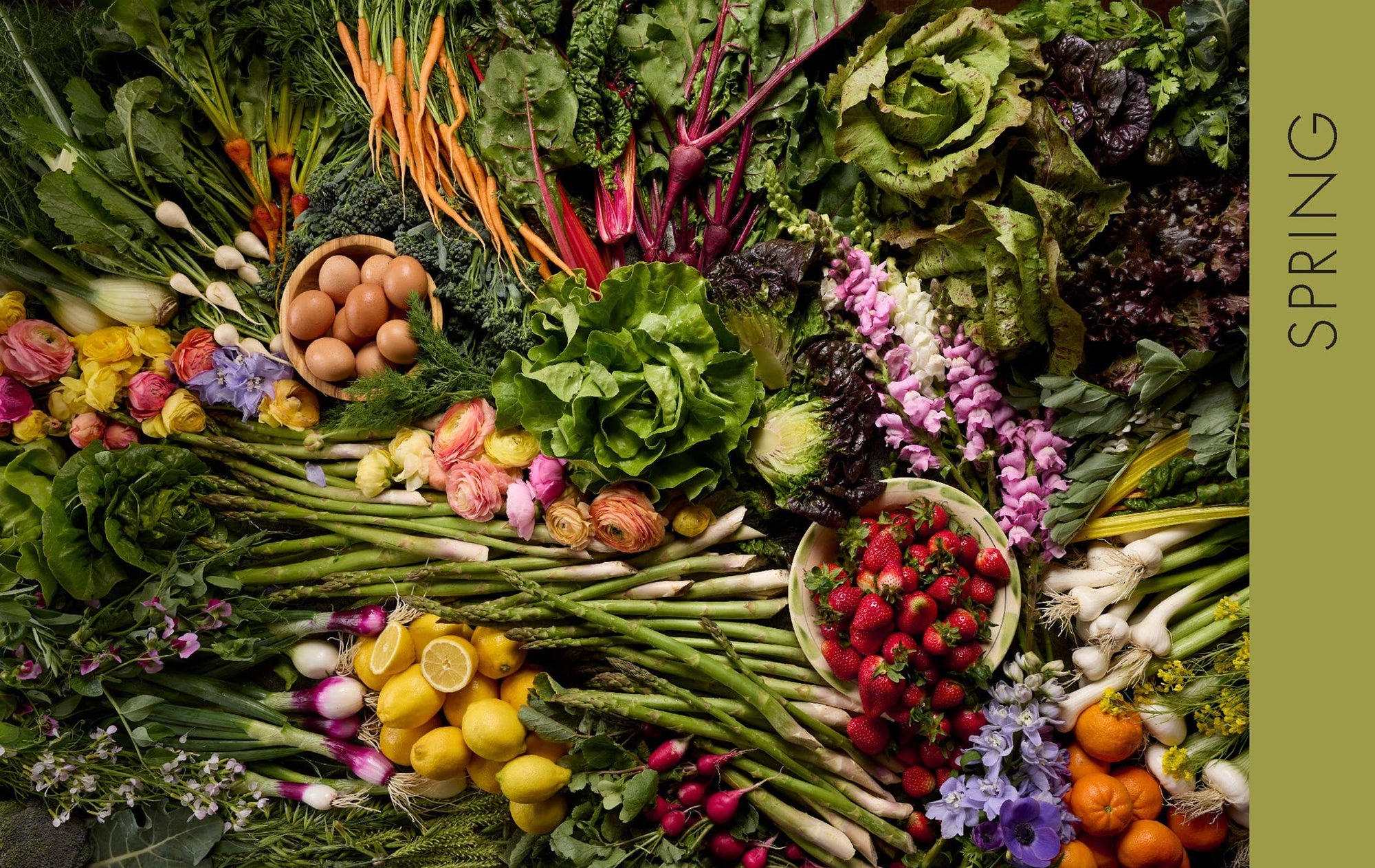 Full Belly Farm &amp; Kitchen Cookbook