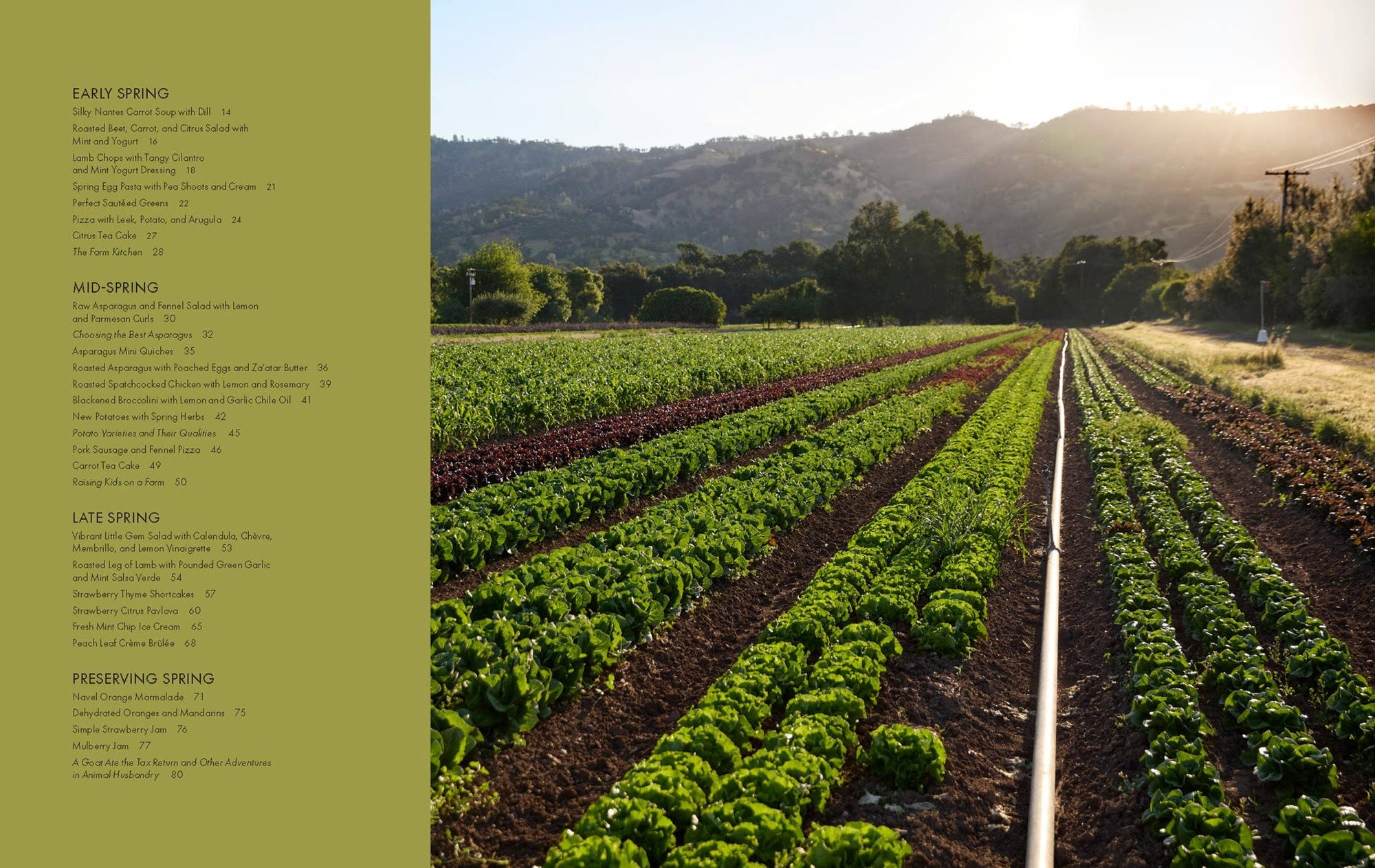 Full Belly Farm &amp; Kitchen Cookbook