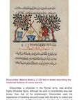 Herbal Elixirs: A Guide to Making Your Own Medicinal Drinks