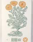 Herbal First Aid: Assembling a Natural First Aid Kit (Zine)