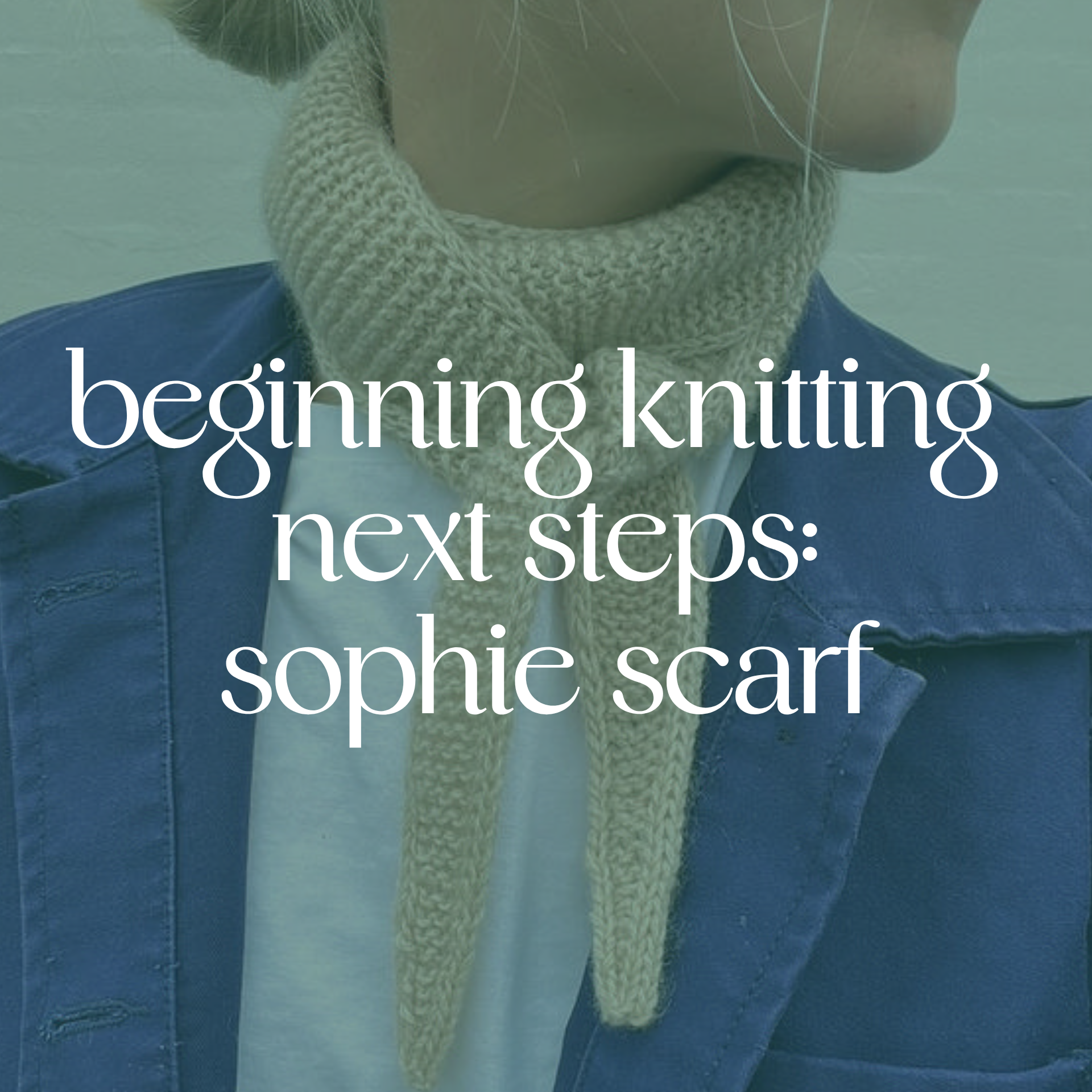 Beginning Knitting Next Steps: Sophie Scarf