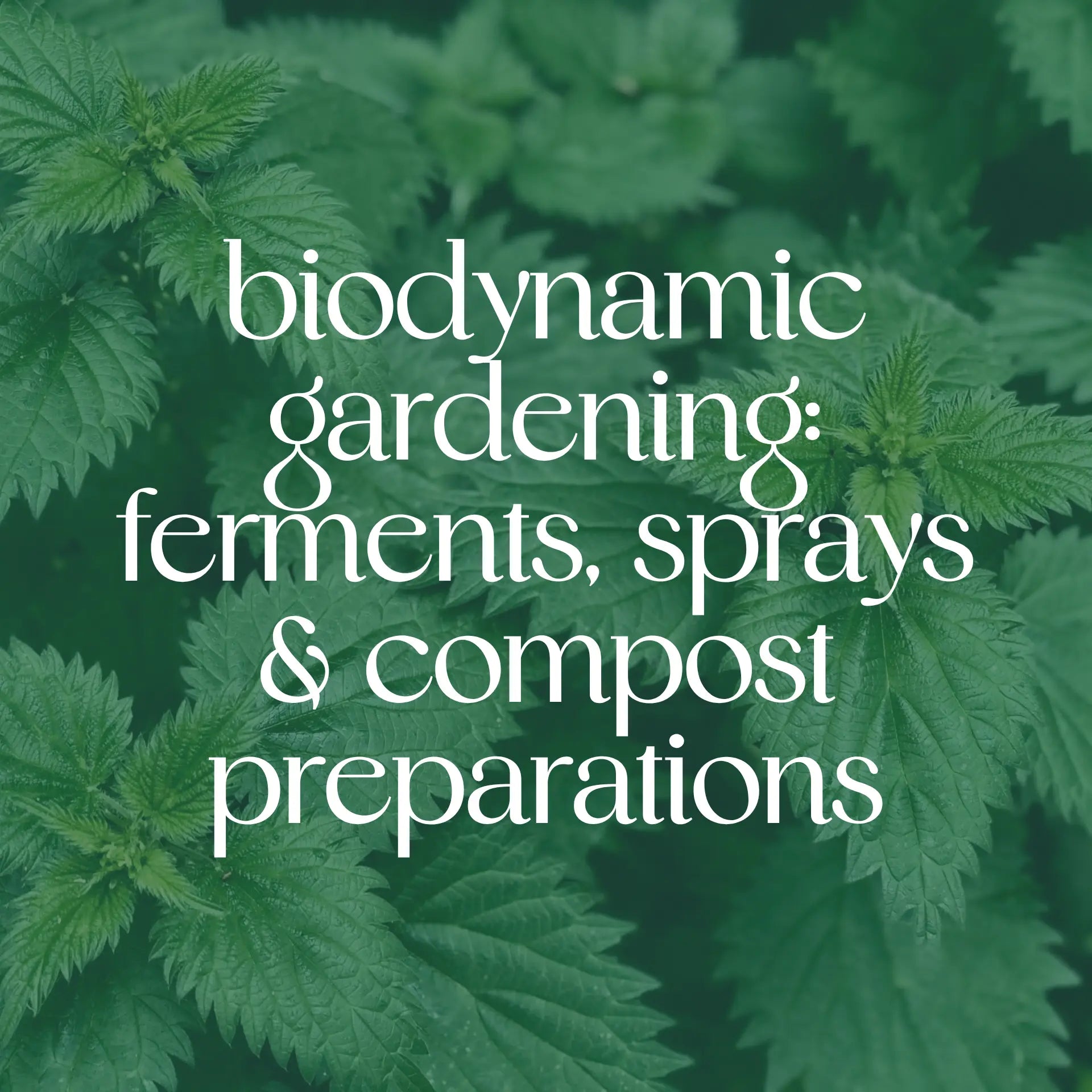 Biodynamic Gardening: Ferments, Sprays &amp; Compost Preparations