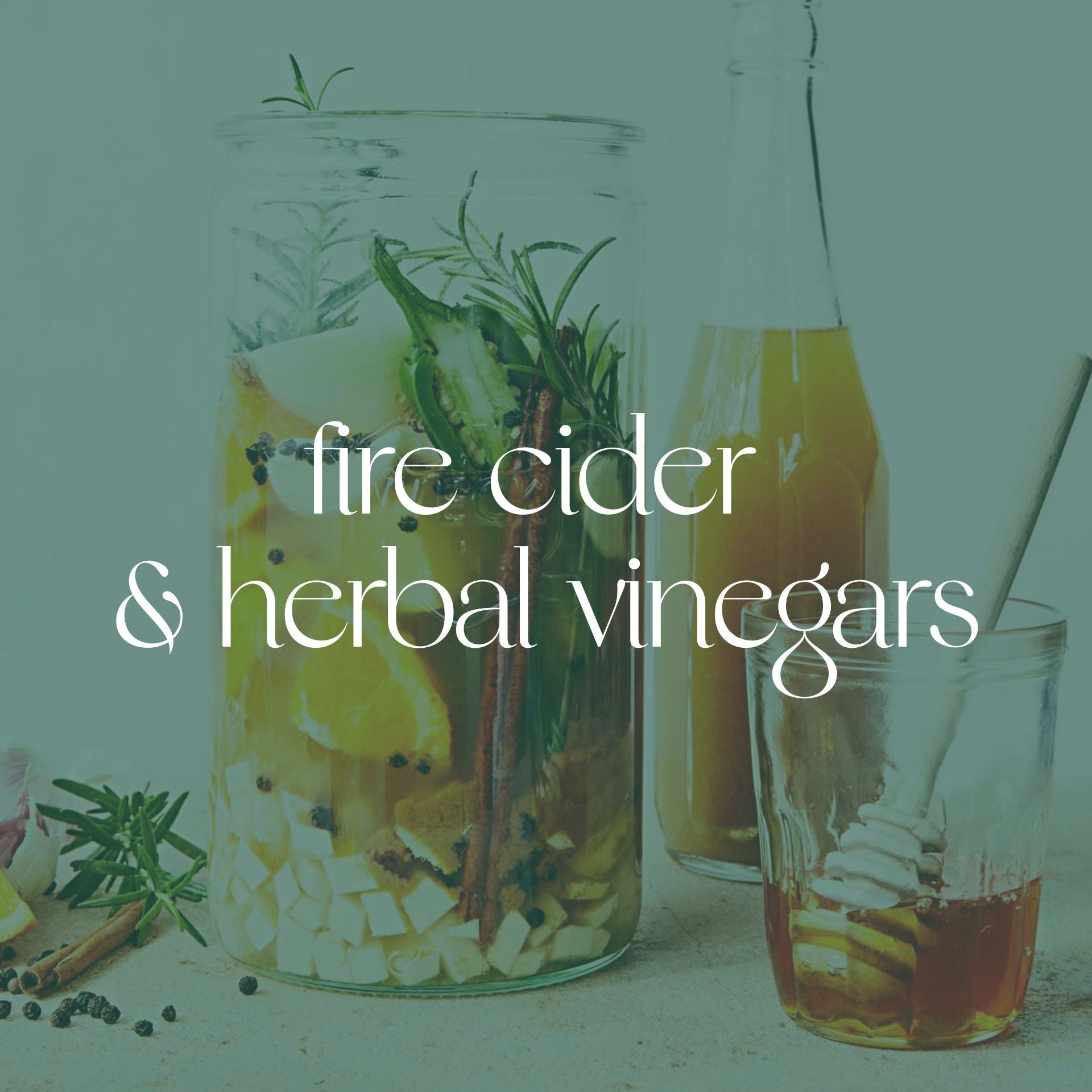 Fire Cider &amp; Herbal Vinegars / Tuesday, September 23