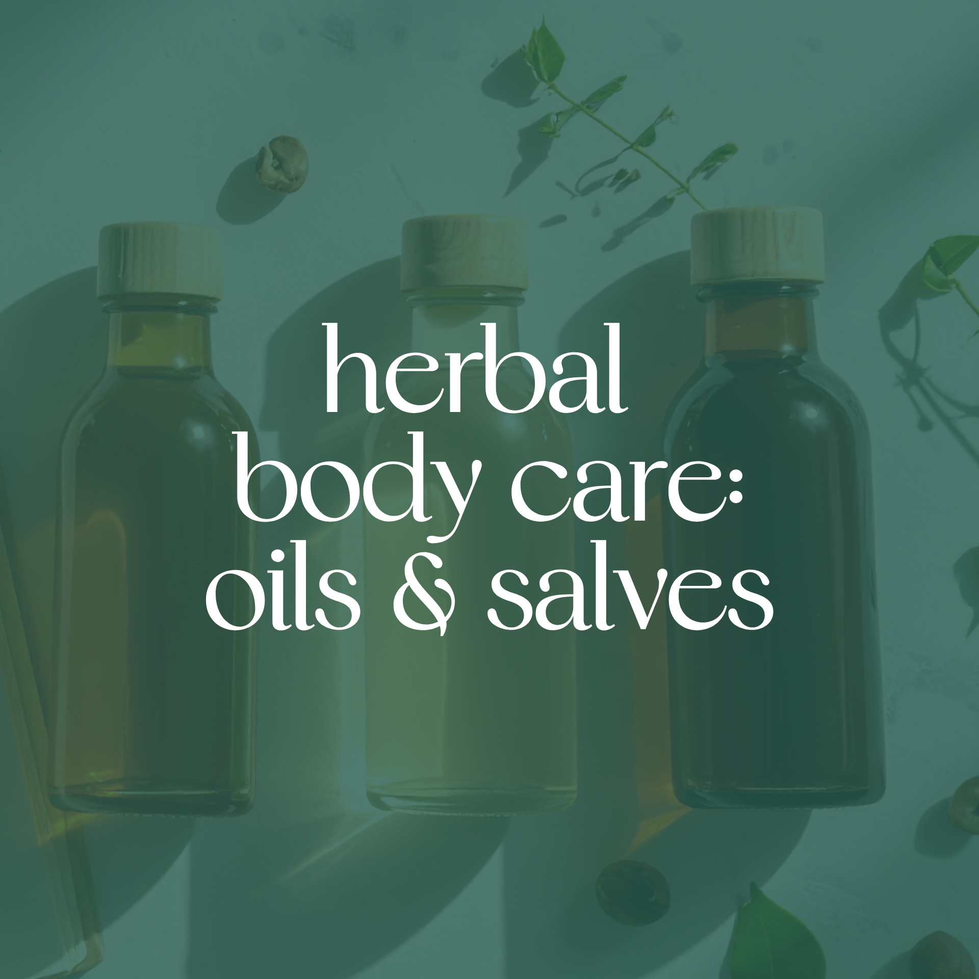 Herbal Body Care: Oils &amp; Salves
