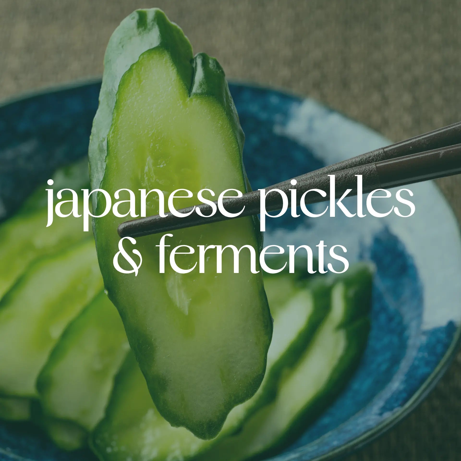 Japanese Pickles &amp; Ferments