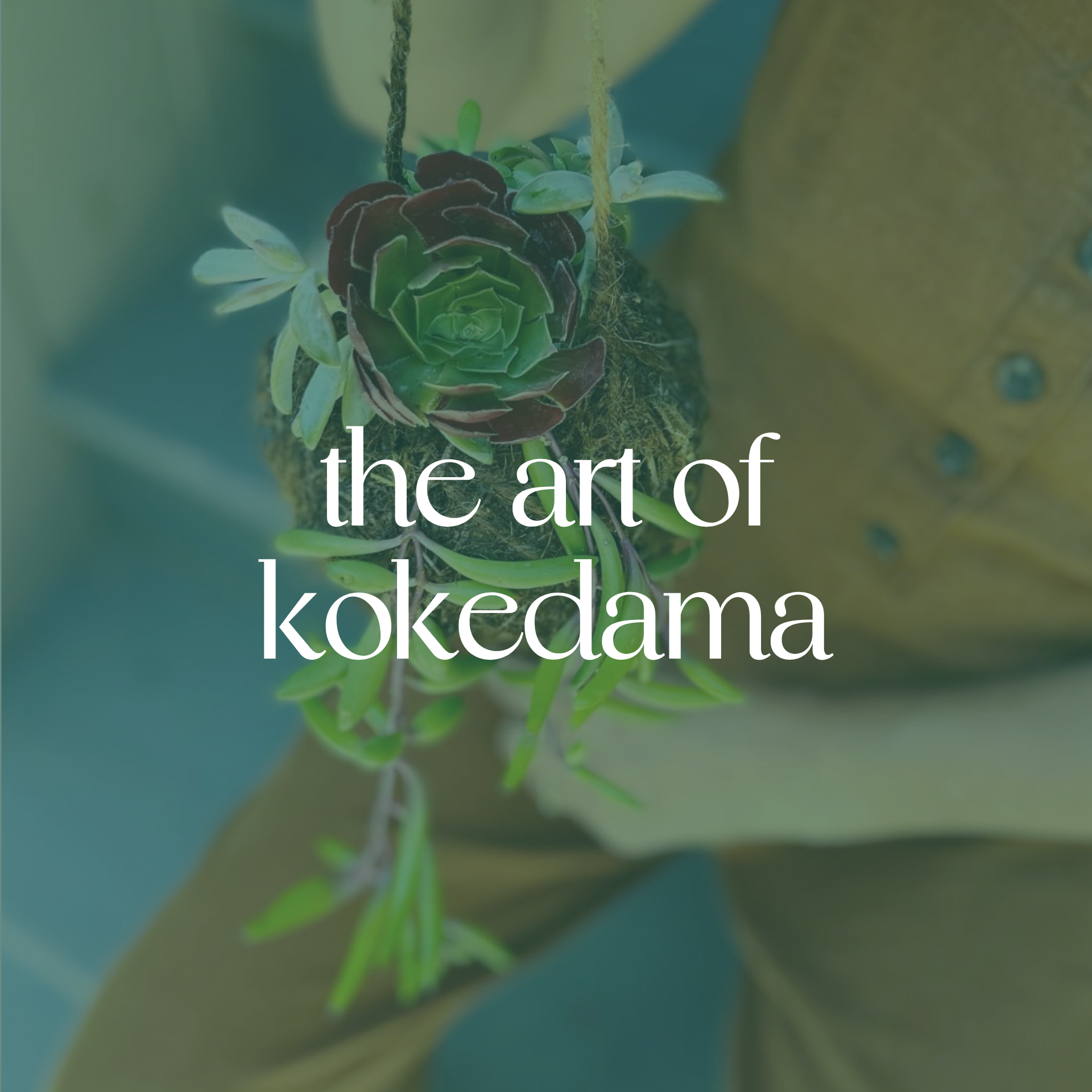 The Art of Kokedama: Japanese Moss Ball Planting