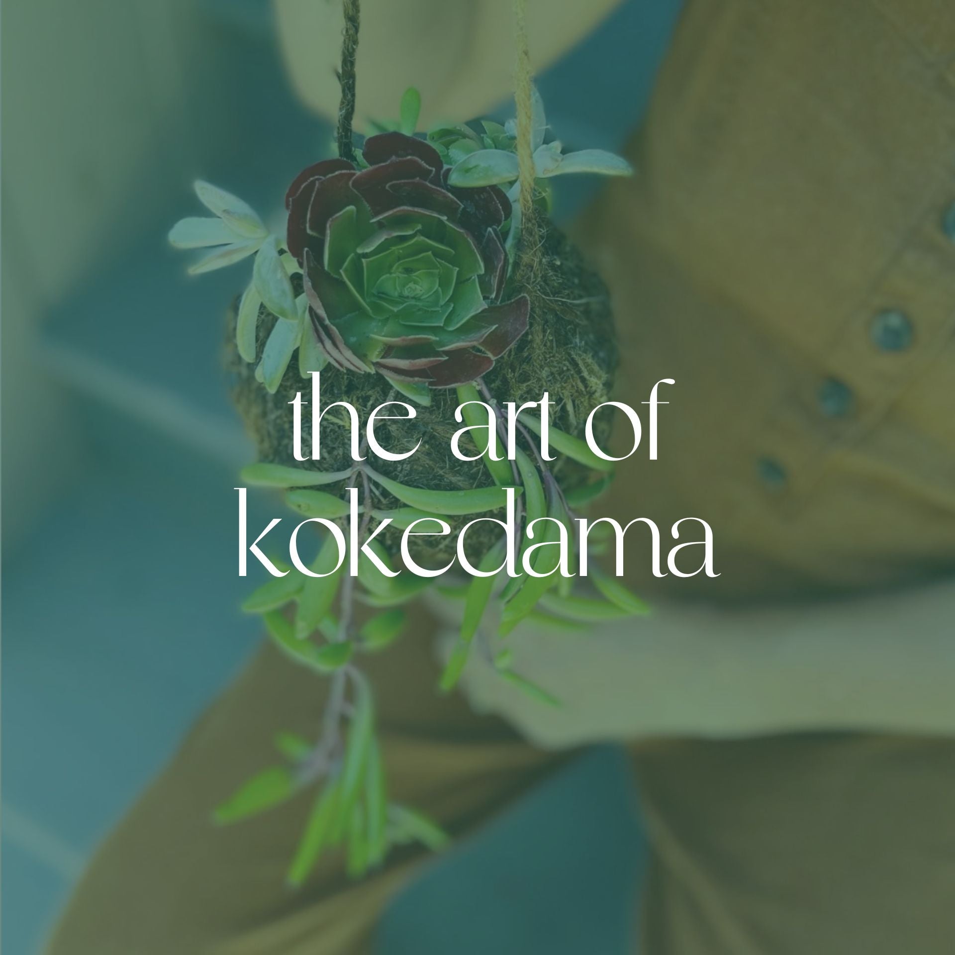 The Art of Kokedama | Saturday, October 11